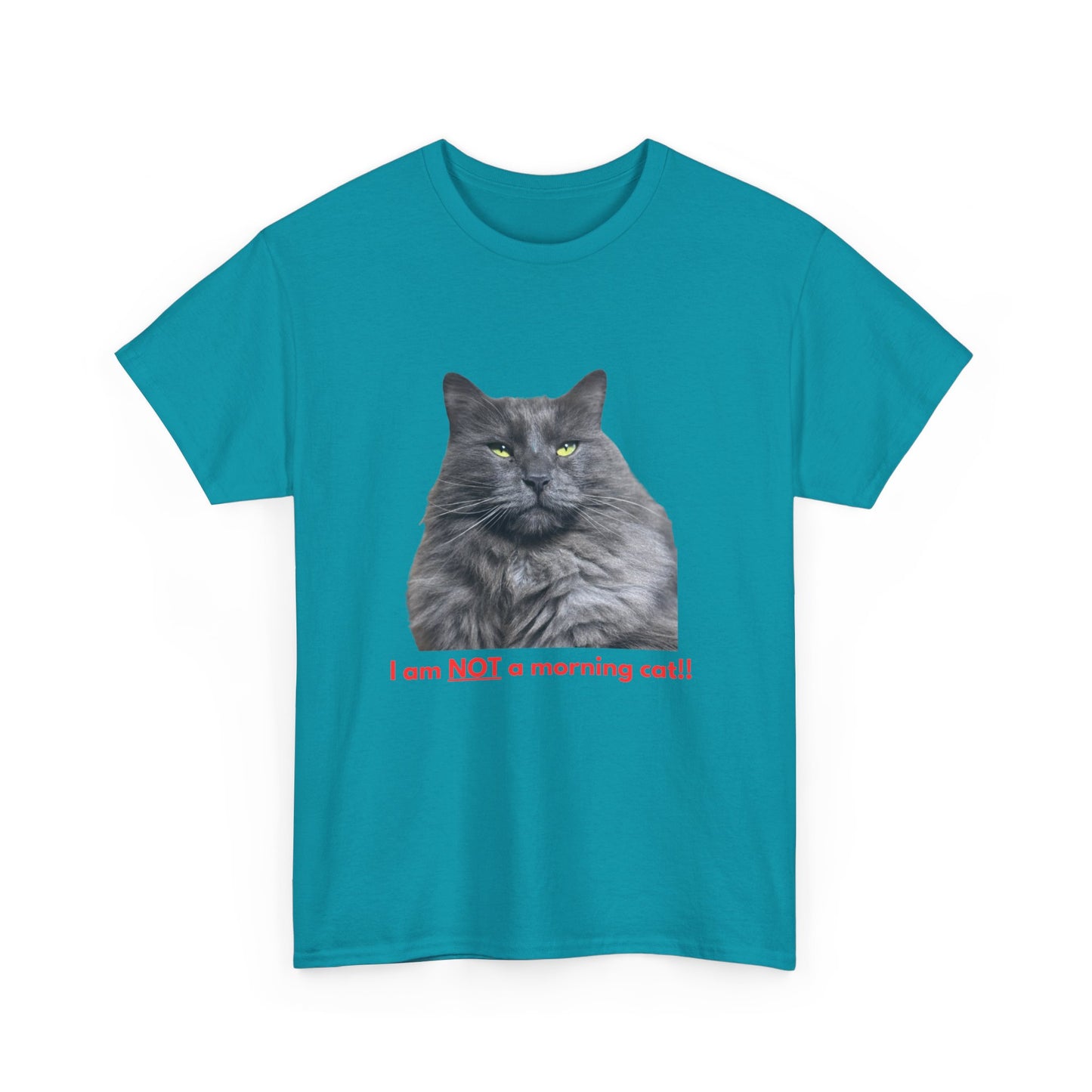 Smoke Silver Siberian - I am NOT a morning person, Funny T-shirts, Gifts for Cat Lovers